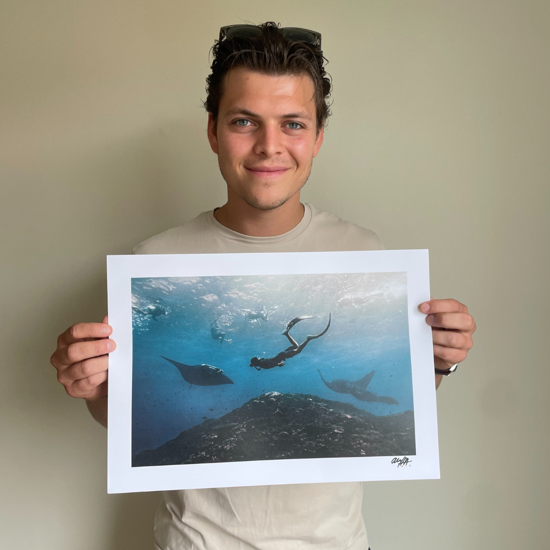 The manta rays – by Alex Høgh Andersen - Gate To Nature